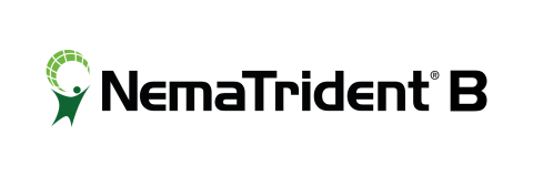 NemaTrident B