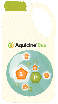 bidon Aquicine Duo soufre et phosphonate