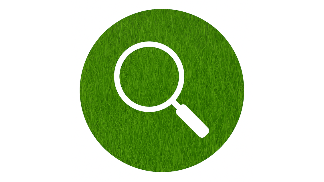 magnifying glass